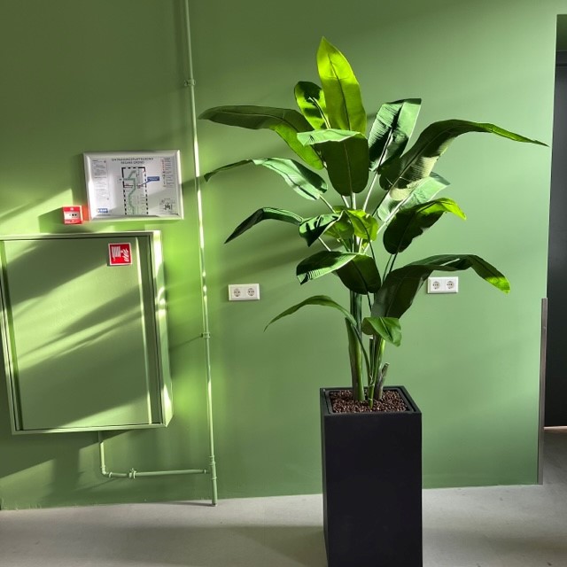 Greendream® Mini Kunstplantjes Set 6 stuks in Keramiek Potje - 6