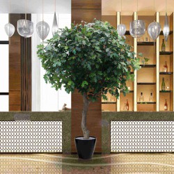 eikenboom_giant_horeca-toepassing