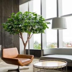 kunstboom_maple-deluxe-kantooromgeving