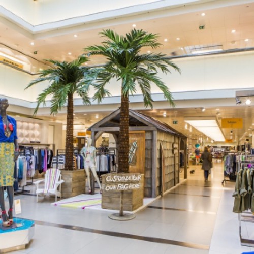 Grote palmen voor de Bijenkorf in Rotterdam en Amsterdam. Grote palmen voor de Bijenkorf in Rotterdam en Amsterdam.