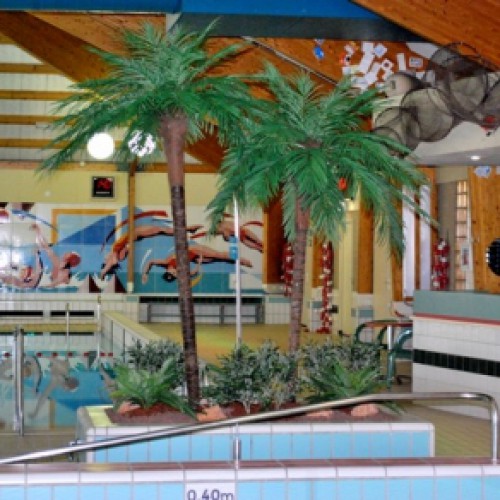 Kunstplanten voor zwembad de Trist in Baarn Kunstplanten voor zwembad de Trist in Baarn