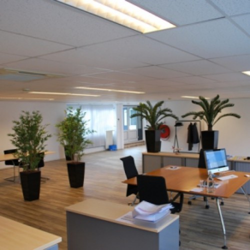 Kunstplanten voor Karin's Choice te Amsterdam. Kunstplanten voor Karin's Choice te Amsterdam.