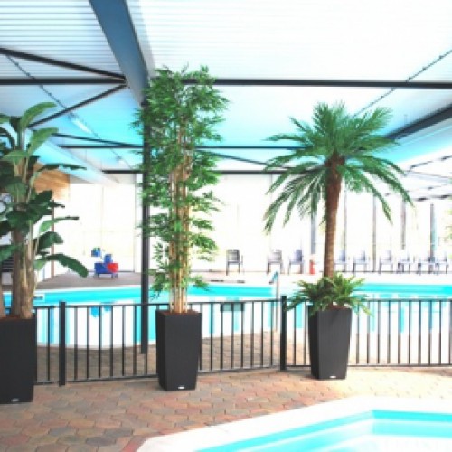 Kunstplanten voor Camping 't Veld te Rheeze Kunstplanten voor Camping 't Veld te Rheeze