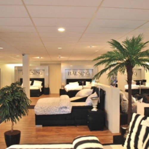 Kunstplanten voor Nederlands Slaapcentrum Eindhoven Kunstplanten voor Nederlands Slaapcentrum Eindhoven