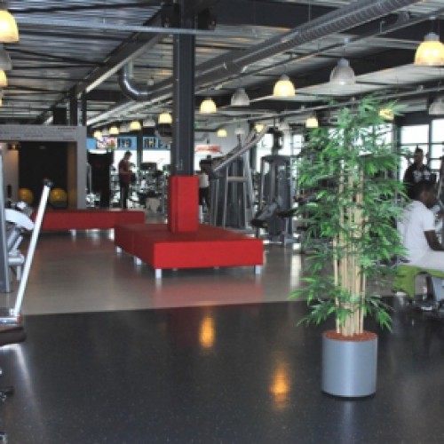 Sport en Fitness Center Almere 24 uur per dag plezier van onze kunstplanten