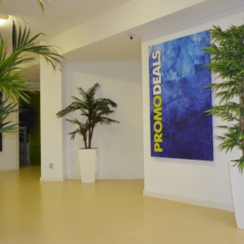 kunstplanten voor nieuw kantoor Promodeals te Den Bosch