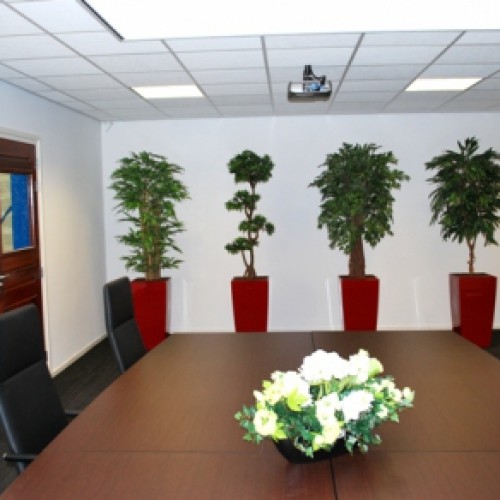 Kunstplanten voor ADS van Stigt te Gorinchem Kunstplanten voor ADS van Stigt te Gorinchem