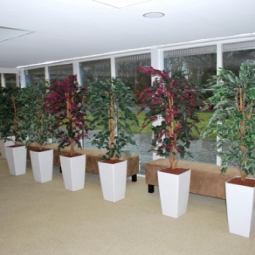 Kunstplanten voor Gemeentelijke begraafplaatsen Den Haag Kunstplanten voor Gemeentelijke begraafplaatsen Den Haag