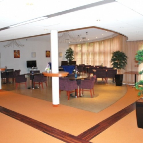 Nieuwe kunstplanten voor Congrescentrum Dennenheul. Nieuwe kunstplanten voor Congrescentrum Dennenheul.