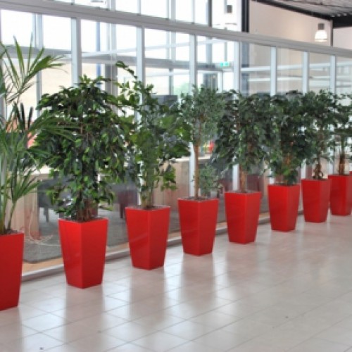 Nieuwe kunstplanten voor JPB Logistics te Veendam Nieuwe kunstplanten voor JPB Logistics te Veendam