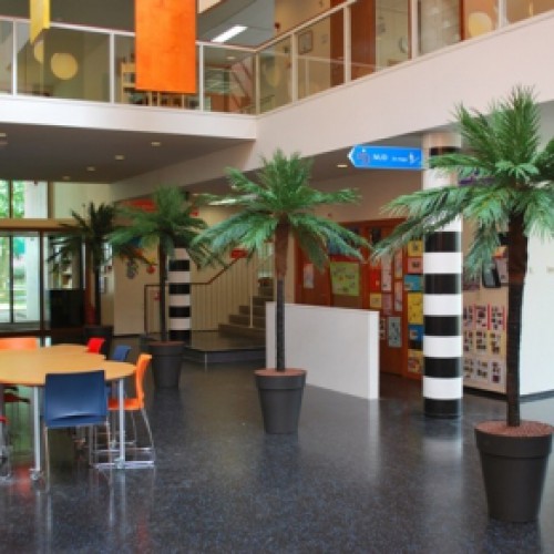 Nieuwe kunstpalmen voor de Hoeksteen in Groningen. Nieuwe kunstpalmen voor de Hoeksteen in Groningen.