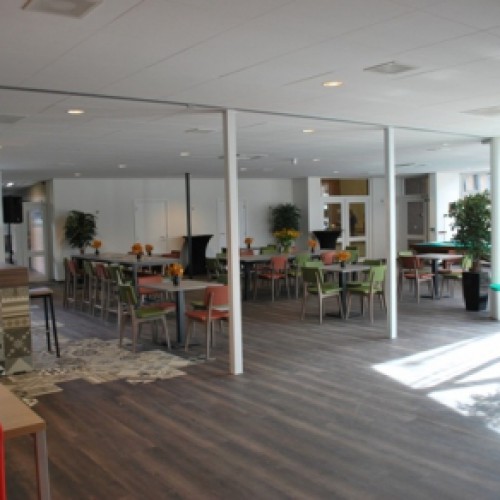 Kunstplanten voor Sportzaal Het Dorpshuis Kunstplanten voor Sportzaal Het Dorpshuis
