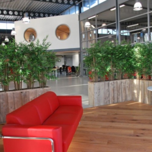 Kunstplanten voor JBL te Veendam Kunstplanten voor JBL te Veendam