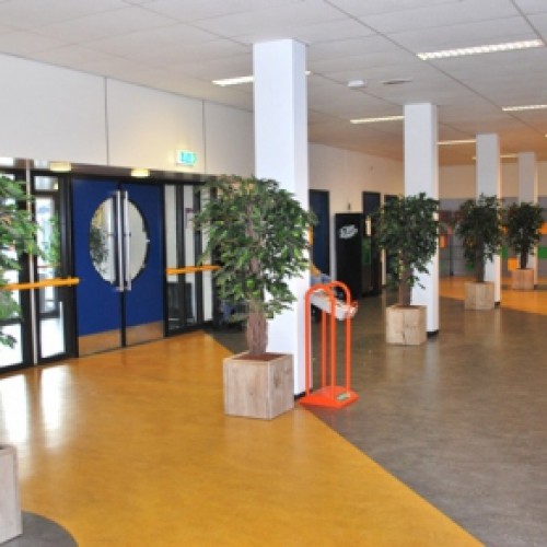 Kunstplanten Albeda College Rotterdam Kunstplanten Albeda College Rotterdam