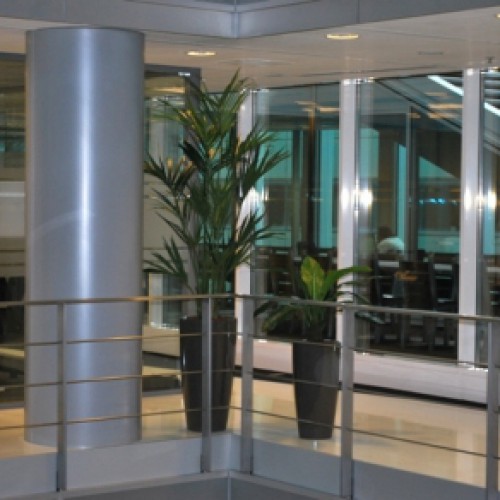Kunstplanten Regus Amsterdam Kunstplanten Regus Amsterdam