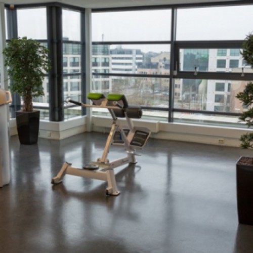 Kunstplanten voor Fit20 te Hilversum Kunstplanten voor Fit20 te Hilversum