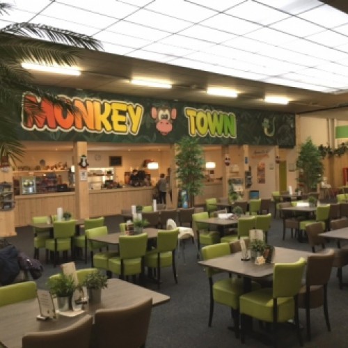 Kunstpalmen voor Monkeytown te Apeldoorn Kunstpalmen voor Monkeytown te Apeldoorn