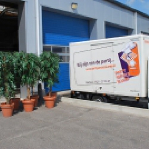 Nieuwe kunstplanten voor Partyservice Slump te Bant Nieuwe kunstplanten voor Partyservice Slump te Bant