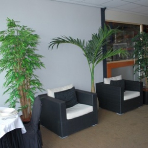 Nieuwe kunstplanten voor Roka Rent Enschede Nieuwe kunstplanten voor Roka Rent Enschede