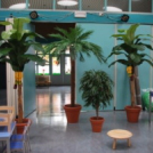 Wonderland besteld voor de vierde keer kunstplanten. Wonderland besteld voor de vierde keer kunstplanten.