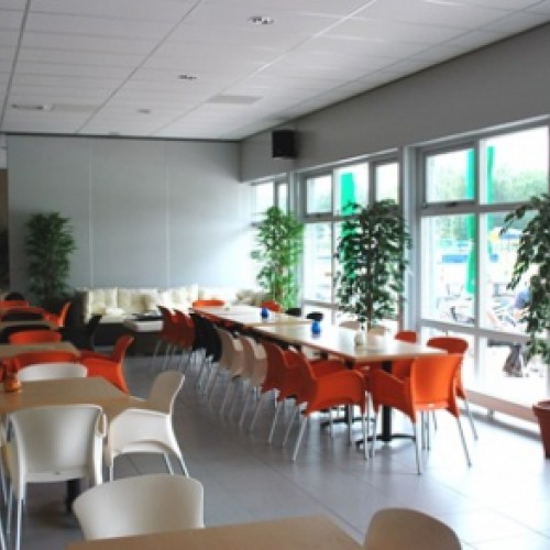 Nieuwe sporthal compleet met nieuwe kunstplanten Nieuwe sporthal compleet met nieuwe kunstplanten