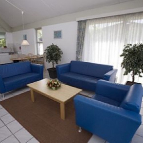 Weer 36 kunstplanten voor Beach Resort Makkum Weer 36 kunstplanten voor Beach Resort Makkum