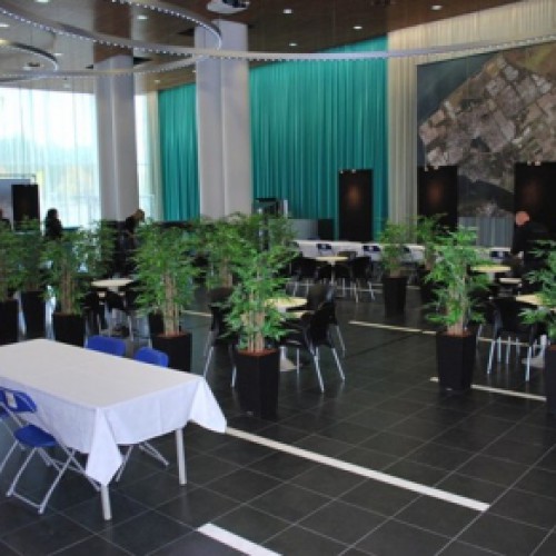 Nieuwe kunstplanten voor Baljet te Almere Nieuwe kunstplanten voor Baljet te Almere