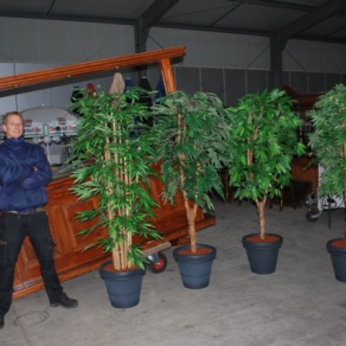 Partyrent Flevoland gaat kunstplanten verhuren! Partyrent Flevoland gaat kunstplanten verhuren!
