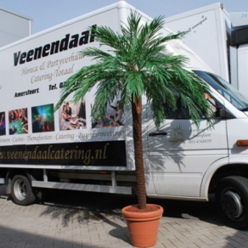 Nieuwe kunstpalmen voor Veenendaal catering Nieuwe kunstpalmen voor Veenendaal catering