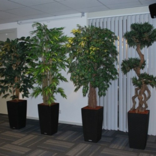 Nieuwe kunstplanten voor zwembad de Watering Nieuwe kunstplanten voor zwembad de Watering