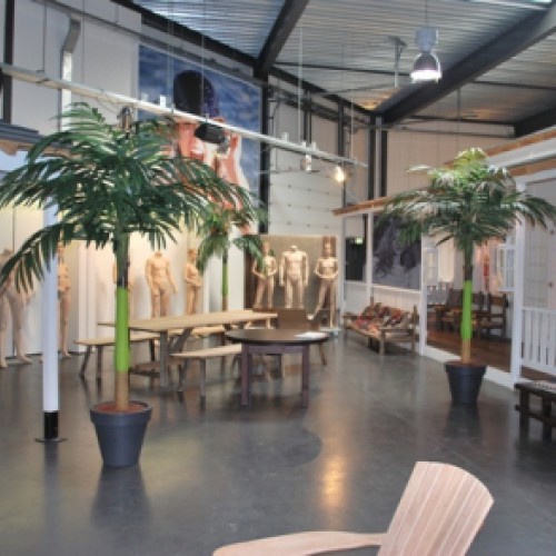 Kunstpalmen voor Geddes& Gilmore Kunstpalmen voor Geddes& Gilmore