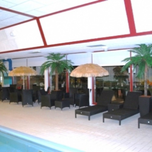 Nieuwe kunstplanten voor Recreatiecentrum Bethenerberg. Nieuwe kunstplanten voor Recreatiecentrum Bethenerberg.