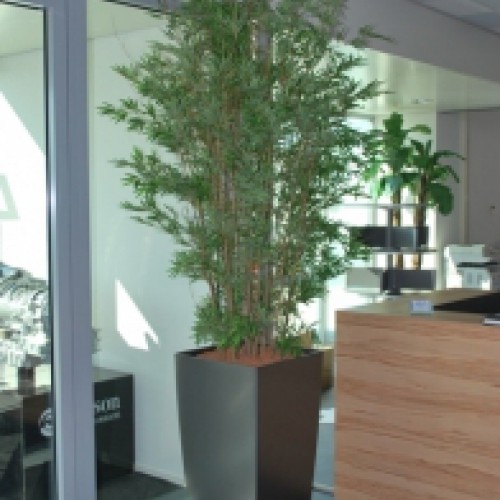 Mooie opdracht van DLS bv te Dordrecht. Mooie opdracht van DLS bv te Dordrecht.