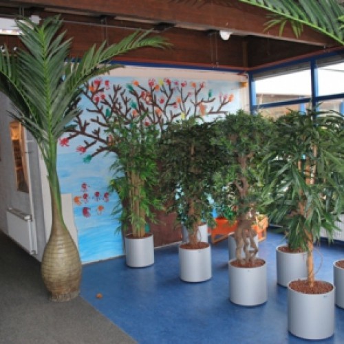 Nieuwe kunstplanten voor Basisschool de Grundel te Lelystad Nieuwe kunstplanten voor Basisschool de Grundel te Lelystad