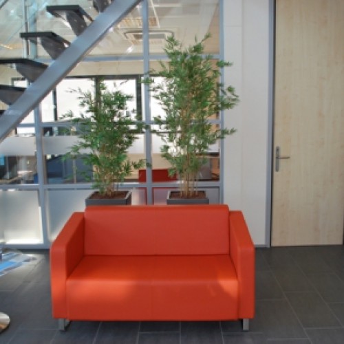 Nieuwe kunstplanten voor Modus bouwconcepten te Rijssen. Nieuwe kunstplanten voor Modus bouwconcepten te Rijssen.
