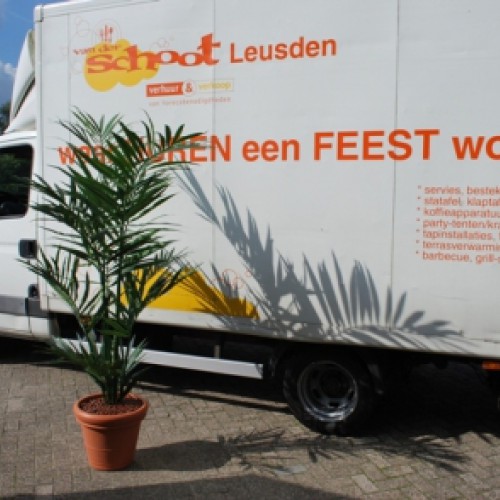 Nieuw kunstpalmen Van der Schoot party verhuur Leusden Nieuw kunstpalmen Van der Schoot party verhuur Leusden
