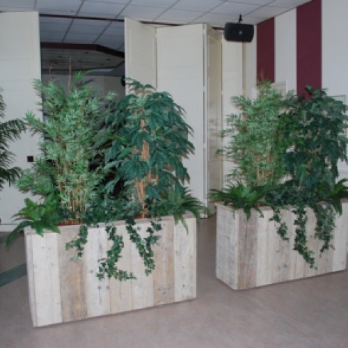 Plantenbakken gevuld voor Verenigings gebouw Irene Plantenbakken gevuld voor Verenigings gebouw Irene