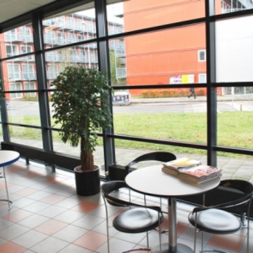 Kunstplanten voor Autoschade Niesing te Amsterdam Kunstplanten voor Autoschade Niesing te Amsterdam