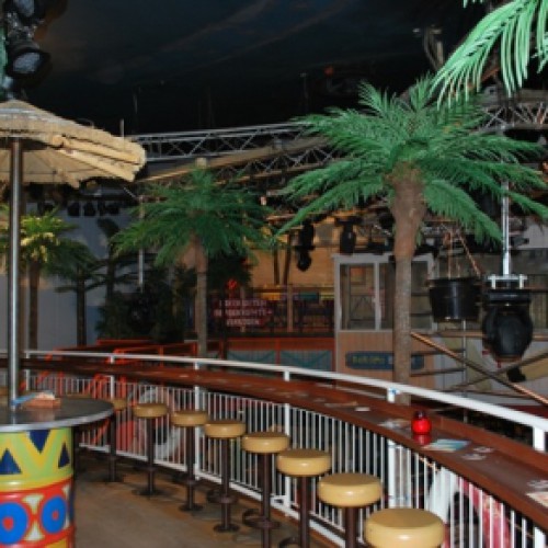 Kokomo Beach Club in de palmen! Kokomo Beach Club in de palmen!