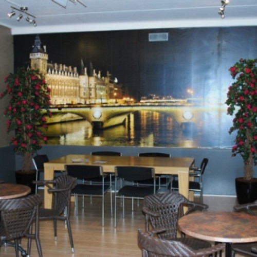 Kunstplanten voor Avalon Fitcentre in Duiven Kunstplanten voor Avalon Fitcentre in Duiven