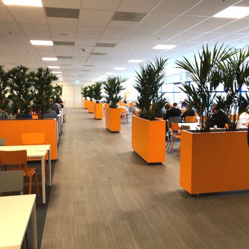 Kunstplanten voor Action te Zwaagdijk Kunstplanten voor Action te Zwaagdijk