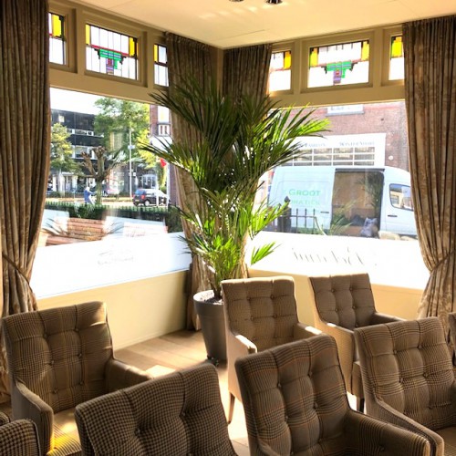 Kom in mediteraanse sferen met kunstplanten bij Bel Ami in Bussum Kom in mediteraanse sferen met kunstplanten bij Bel Ami in Bussum