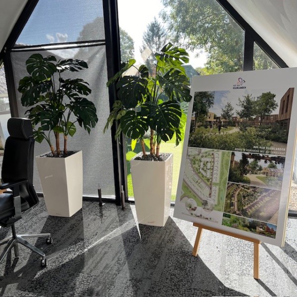 Bij De Groot Decoraties hebben we een prachtige collectie kunstplanten die perfect zijn voor deze uitdagende plekken. Bij De Groot Decoraties hebben we een prachtige collectie kunstplanten die perfect zijn voor deze uitdagende plekken.