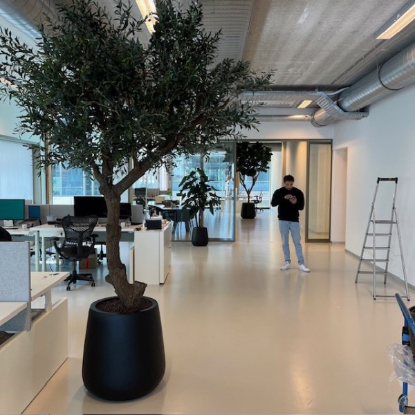 De Groot Decoraties: Levensechte kunstplanten die elk interieur verrijken De Groot Decoraties: Levensechte kunstplanten die elk interieur verrijken