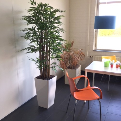 Nieuwe kunstplanten voor VSI Geldermalsen Nieuwe kunstplanten voor VSI Geldermalsen