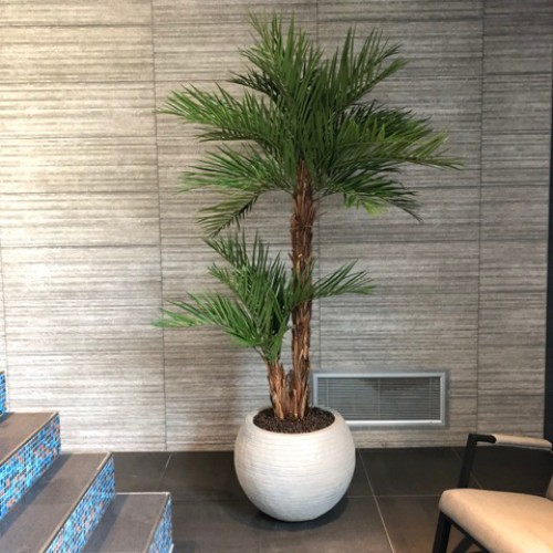 Alles even prachtig met de kunstplanten bij Camping de Julianahoeve Alles even prachtig met de kunstplanten bij Camping de Julianahoeve