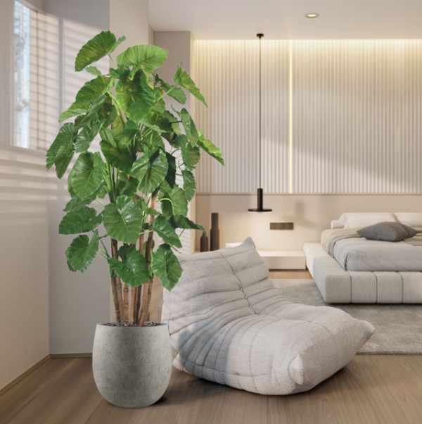Kunst Alocasia Deluxe - Een blikvanger van topkwaliteit Kunst Alocasia Deluxe - Een blikvanger van topkwaliteit