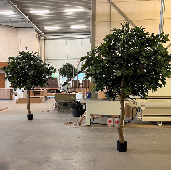 Kijk: zo combineert u een kunst eikenboom Kijk: zo combineert u een kunst eikenboom