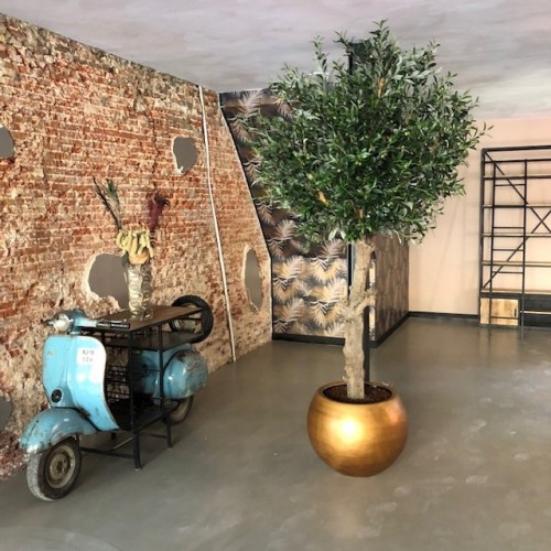 Kunstplanten voor DNVM te Leeuwarden Kunstplanten voor DNVM te Leeuwarden