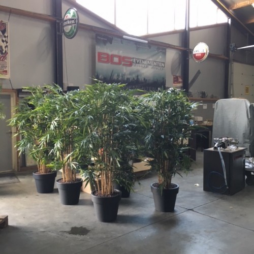 Kunst bamboe voor Bos evenementen in Appelscha. Kunst bamboe voor Bos evenementen in Appelscha.